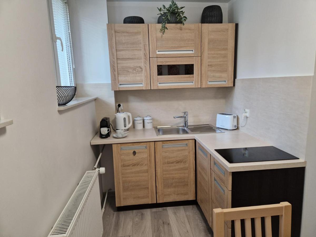 Apartament W Srodmiesciu 萨诺克 外观 照片