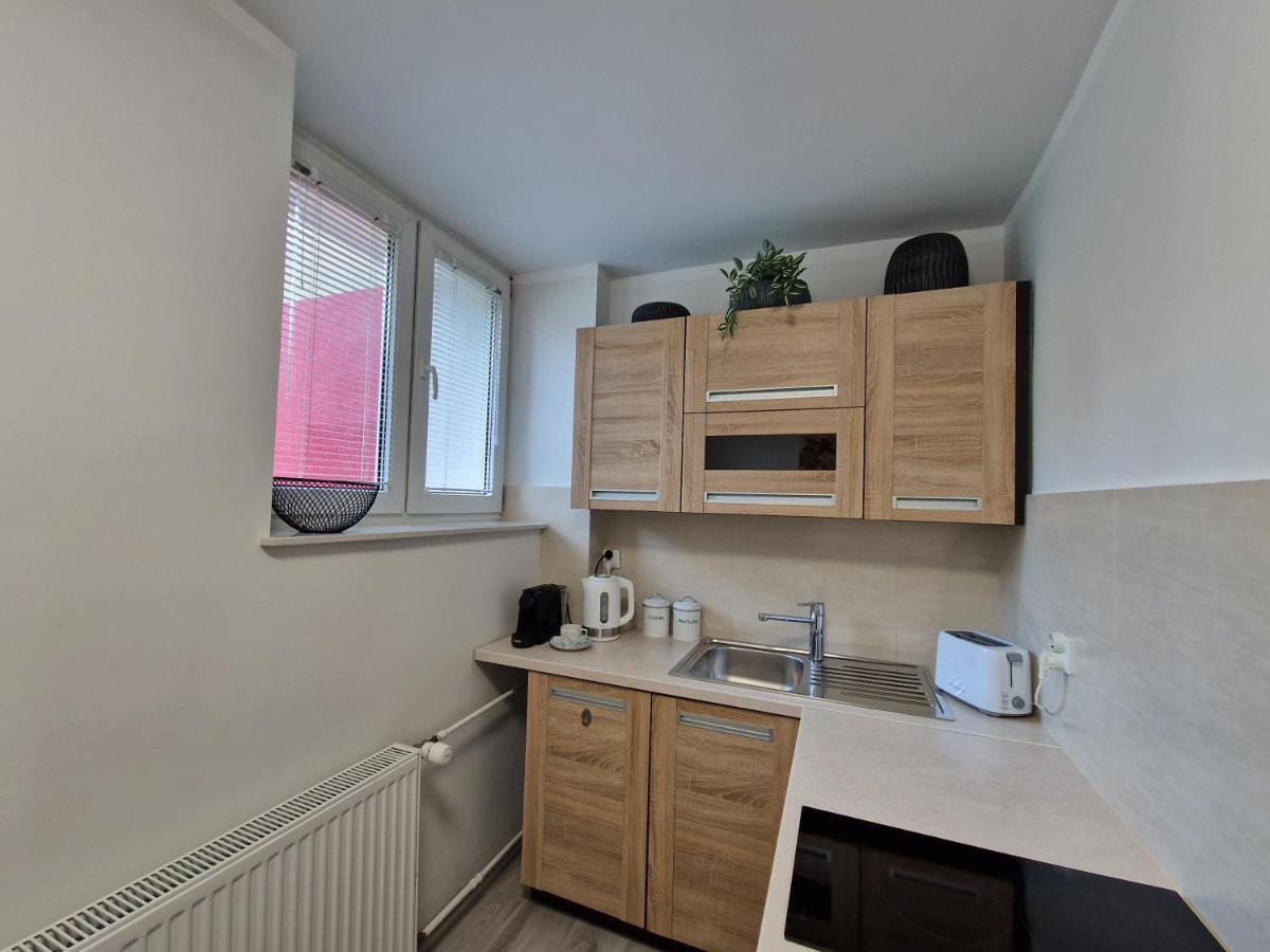 Apartament W Srodmiesciu 萨诺克 外观 照片